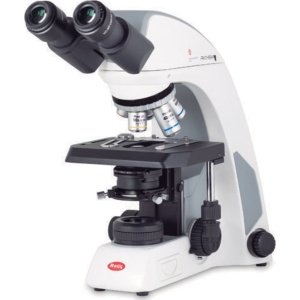 Motic Panthera C2 Bino - Panthera C2 Binocular Compound Microscope